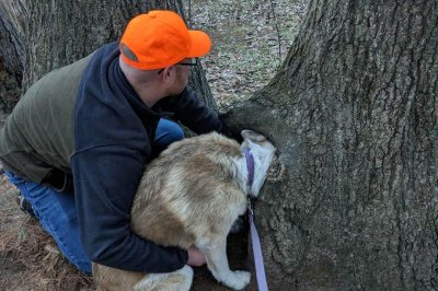 Firefighters Rescue Dog Who Get Her Head Stuck In A Hole In A Tree ...