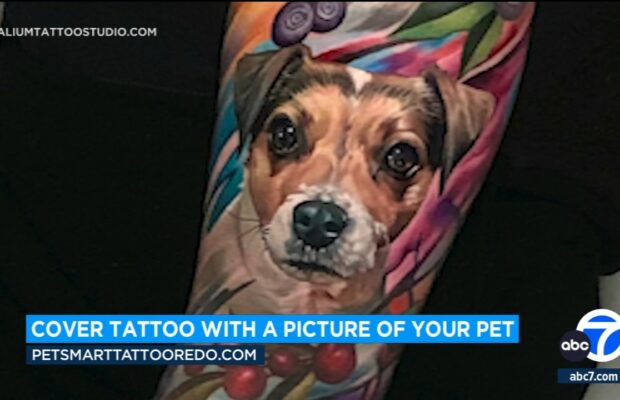 Cover Up A TATT With A Pic Of Your PET