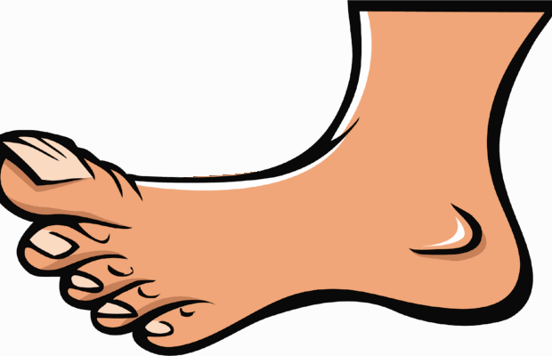 South Jersey Assembly candidate selling photos of her feet as online adult content South Jersey Assembly candidate selling photos of her feet as online adult content