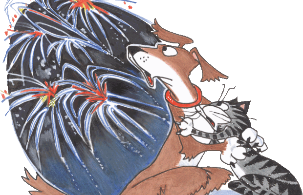 Why Are Dogs Scared of Fireworks—and How Can You Calm Them Down?
