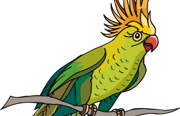 Rated-R parrot goes viral Rated-R parrot goes viral