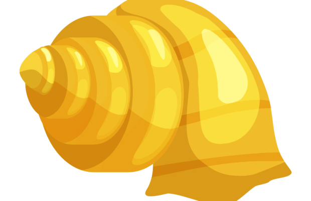 Blowing Conch Shell Linked to Improvement in Dangerous Sleep Condition Blowing Conch Shell Linked to Improvement in Dangerous Sleep Condition